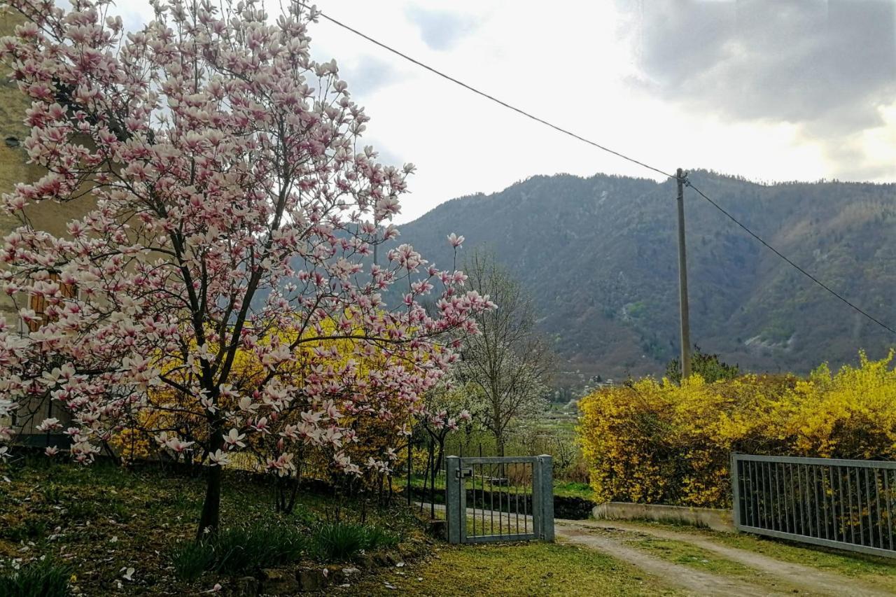 Maso Daue Marter Exterior foto